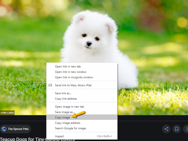 New Feature Copy And Paste Images In Your Group Chat